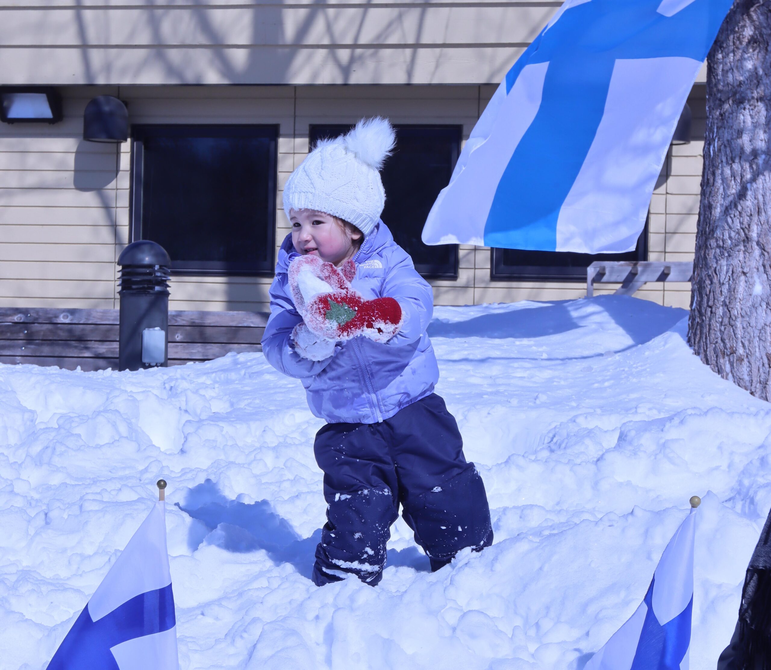 Holiday market setup